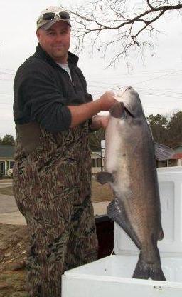 catfish lake stevenson 37lb jeff catches greers ferry kffb above fish another big