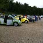 More VW Bugs
